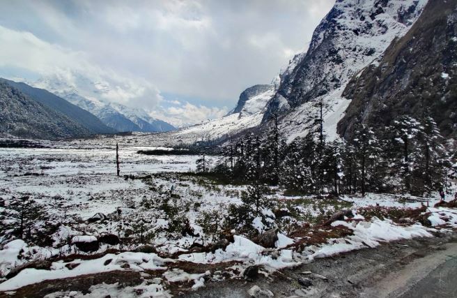 Yamthang Valley